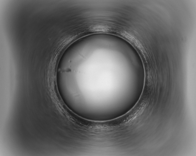 X0000096220529200801181452