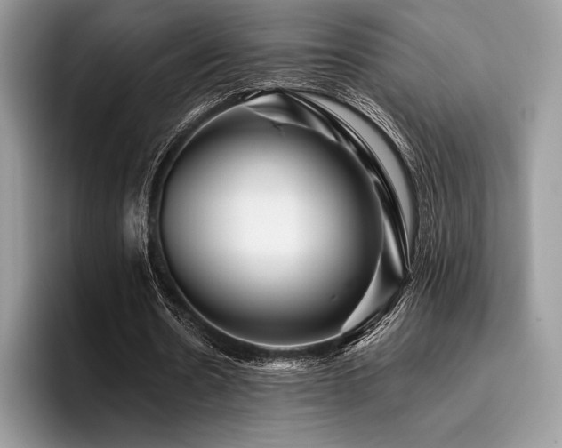 X0000096220530200801181452