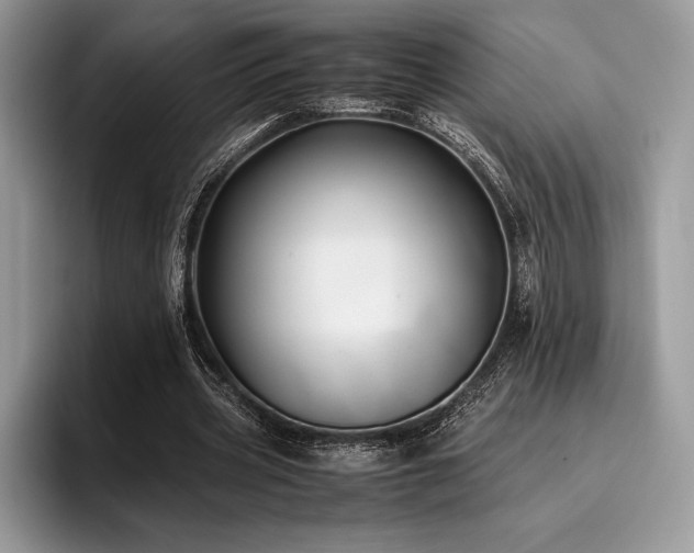 X0000096220533200801181452