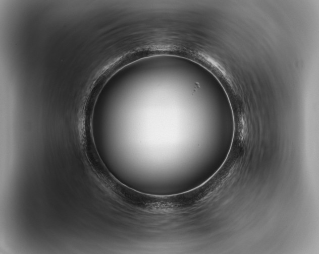 X0000096220535200801181452