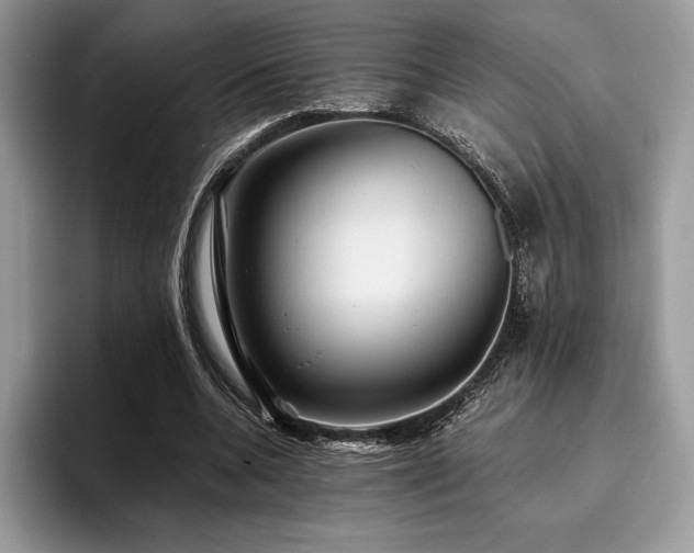 X0000096220536200801181452