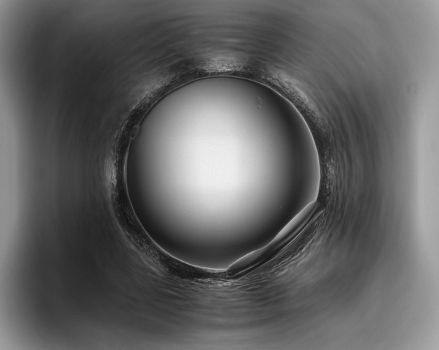 X0000096220539200801181452