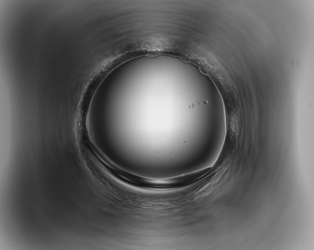 X0000096220540200801181452