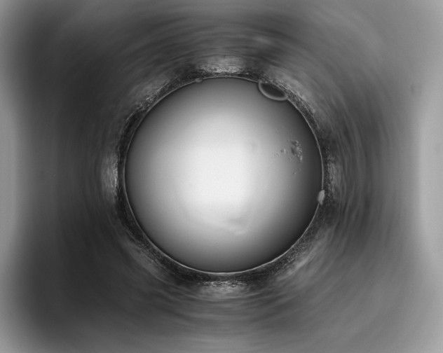X0000096220541200801181452