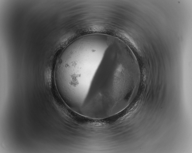X0000096220542200801181452