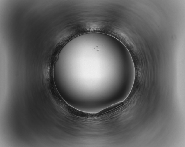 X0000096220543200801181452