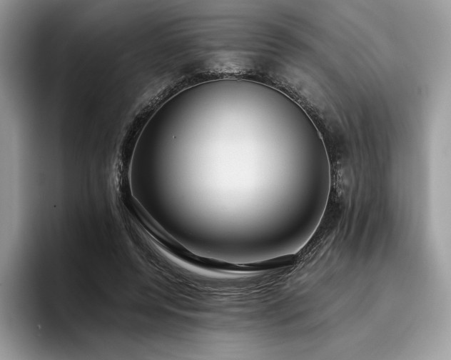 X0000096220544200801181452