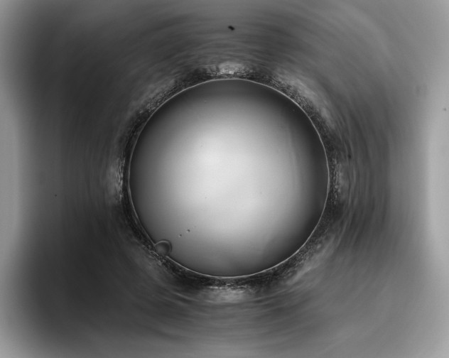 X0000096220545200801181452