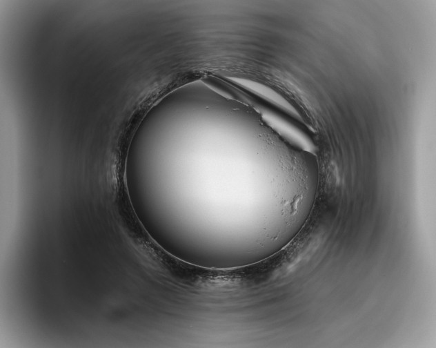X0000096220546200801181452