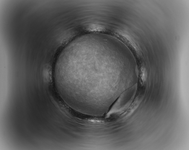 X0000096220547200801181453