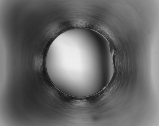 X0000096220548200801181453