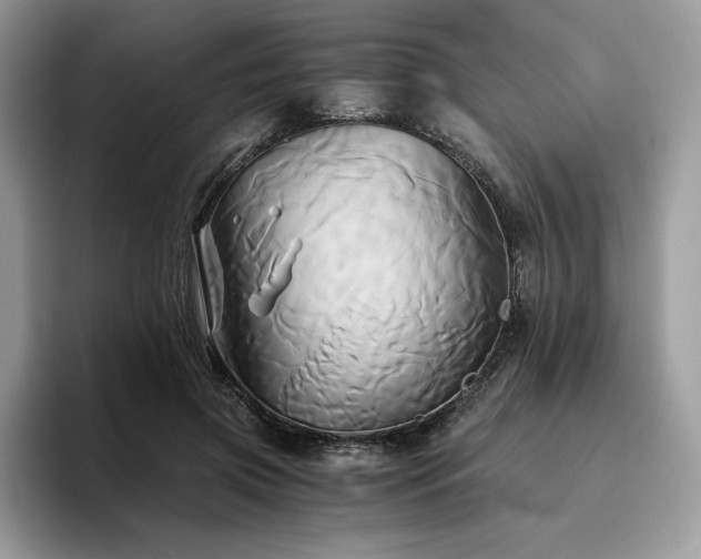 X0000096220549200801181453