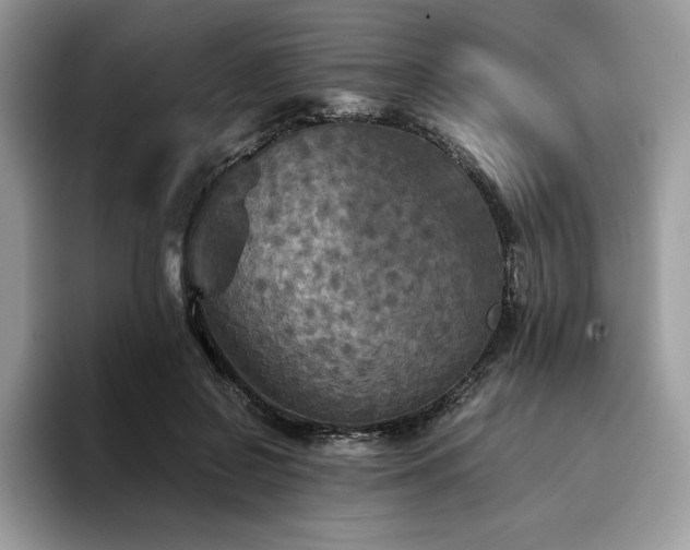 X0000096220550200801181453