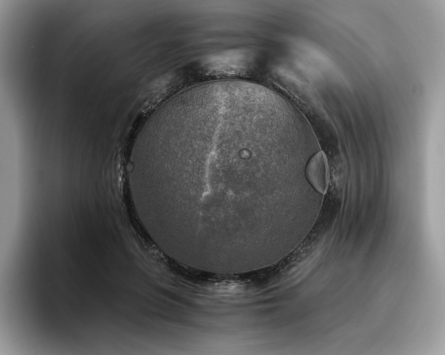X0000096220551200801181453