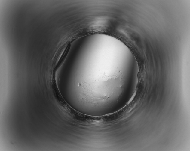 X0000096220552200801181453