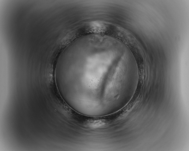 X0000096220553200801181453