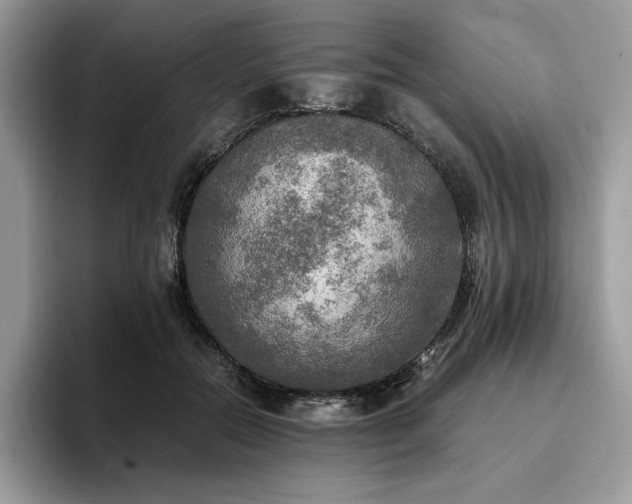 X0000096220554200801181453