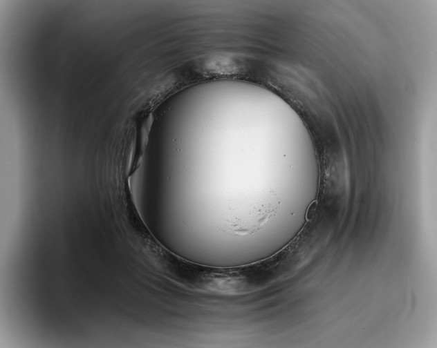 X0000096220555200801181453
