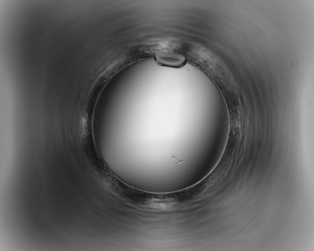 X0000096220556200801181453