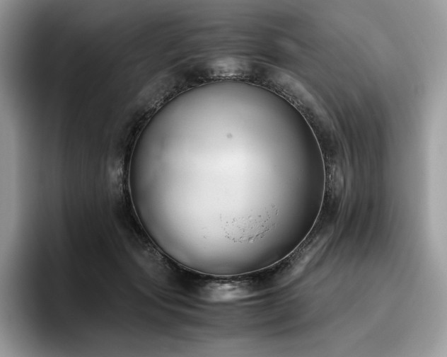 X0000096220557200801181453