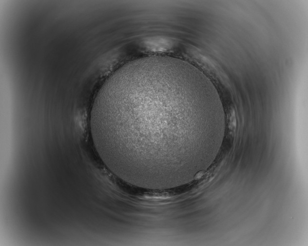 X0000096220559200801181453