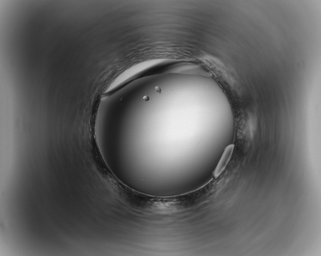X0000096220560200801181453