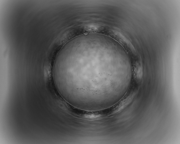 X0000096220561200801181453