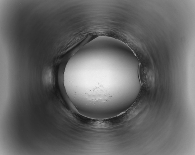 X0000096220562200801181453