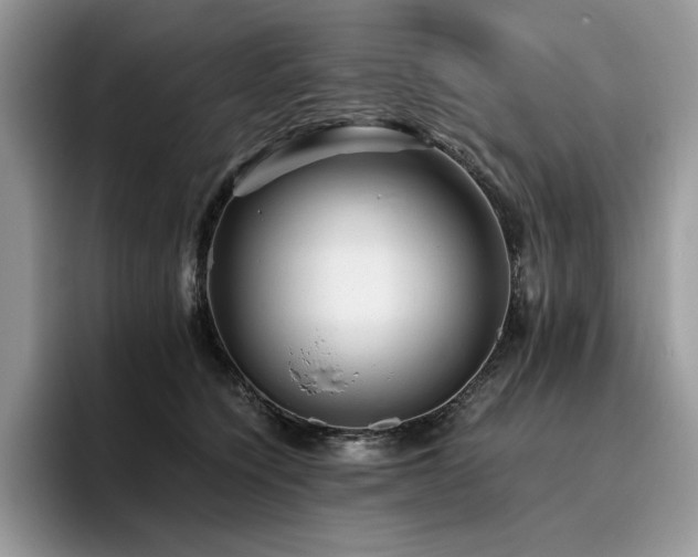 X0000096220564200801181453