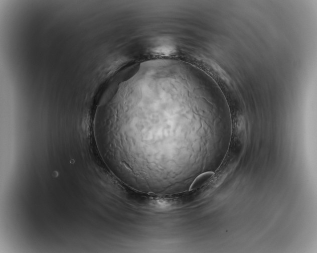 X0000096220565200801181453
