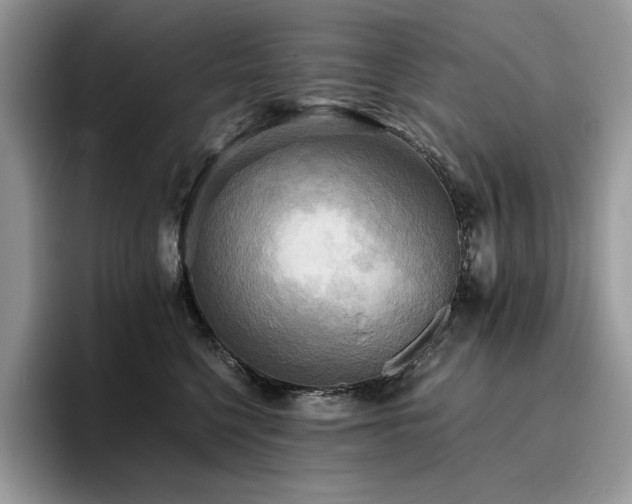 X0000096220568200801181453
