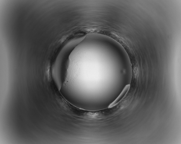 X0000096220570200801181453