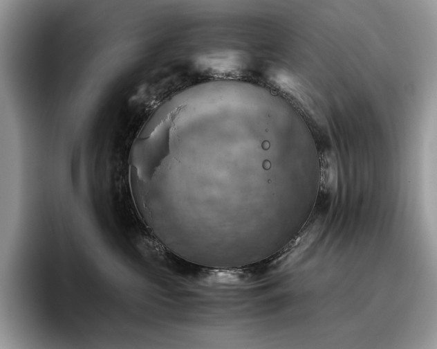 X0000096220573200801181453