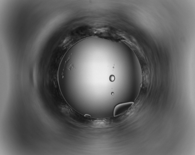 X0000096220574200801181453