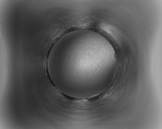 X0000096220576200801181453