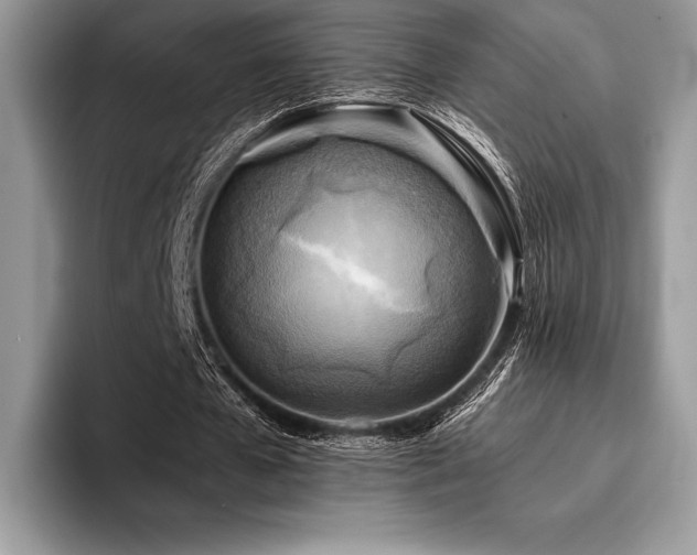 X0000096220577200801181452