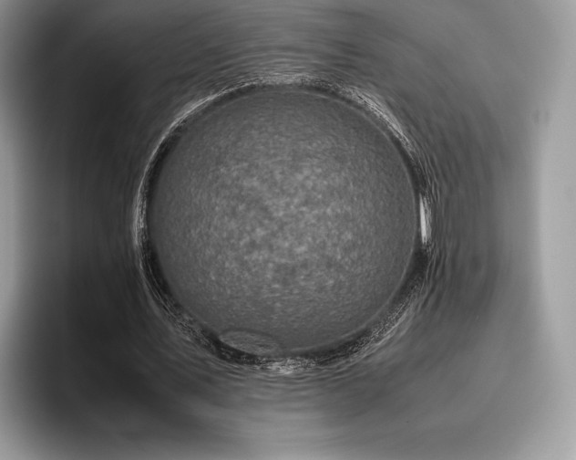 X0000096220579200801181452