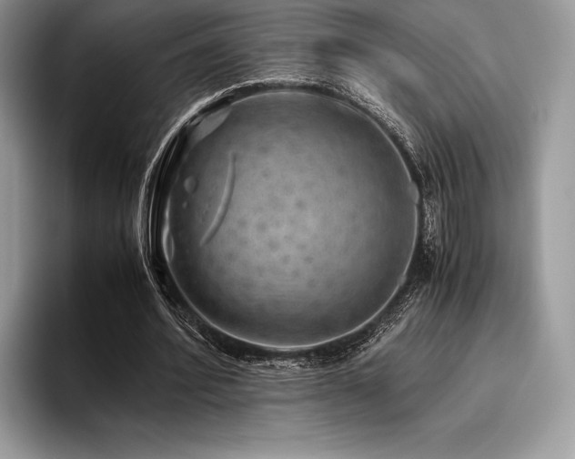 X0000096220580200801181452