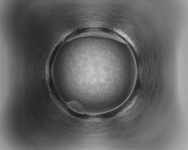 X0000096220581200801181452