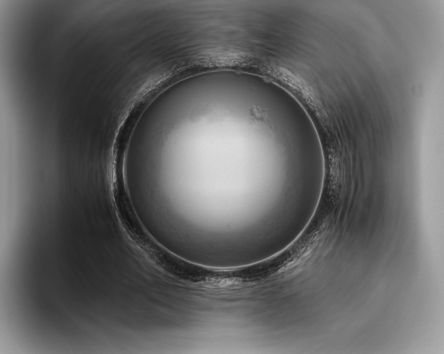 X0000096220582200801181452