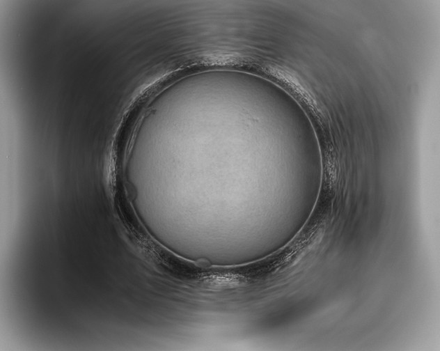 X0000096220583200801181452