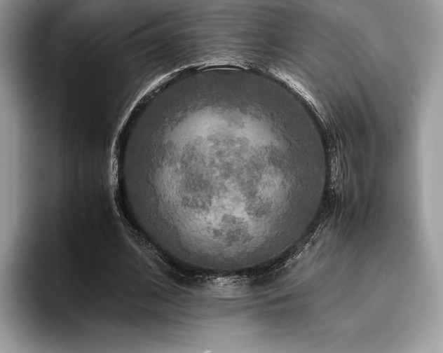 X0000096220584200801181452