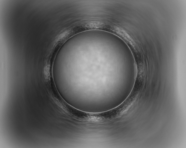 X0000096220585200801181452
