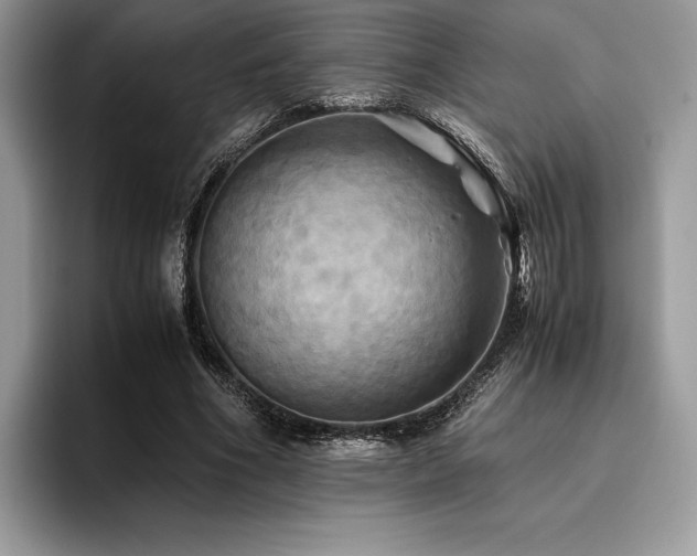 X0000096220586200801181452