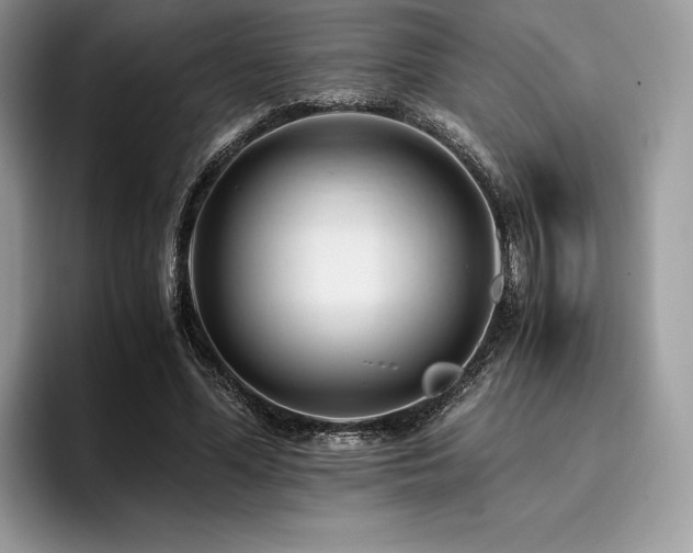 X0000096220588200801181452
