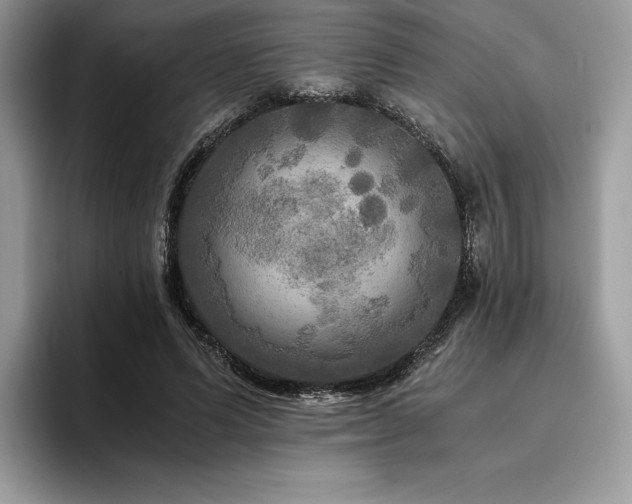 X0000096220591200801181452
