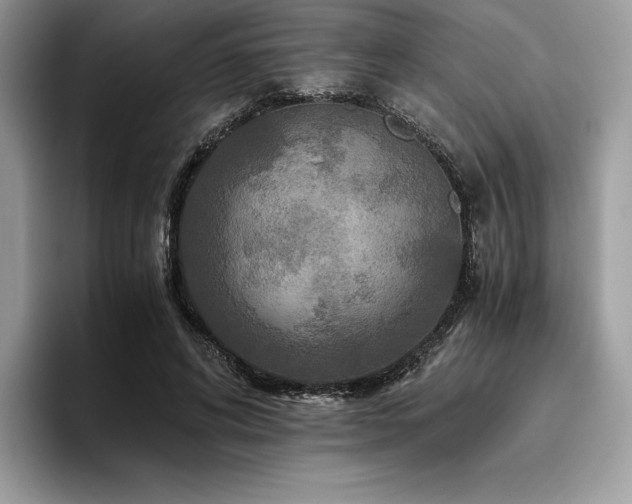X0000096220592200801181452