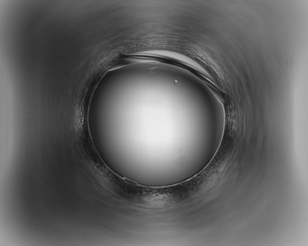 X0000096220593200801181452