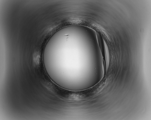 X0000096220596200801181452