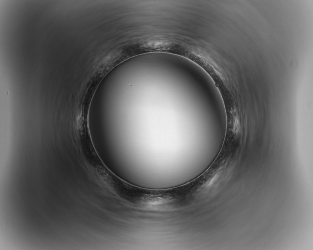 X0000096220597200801181452